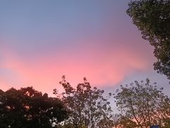 -美的鹭湖探索王国