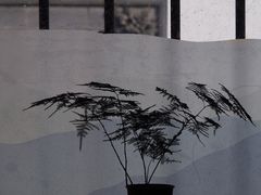 -古耳咖啡(北锣店)