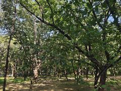 -国家植物园南园