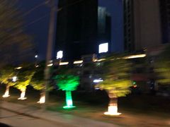-中华茶楼(龙湖店)