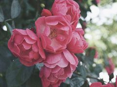 -广富林郊野公园