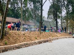 -铁山坪森林公园