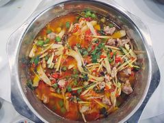 -食神又名厕所兔