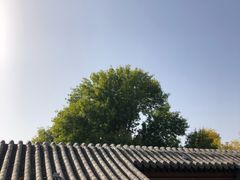 -糖房咖啡(南锣鼓巷店)
