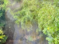 -巴巴新生活·四合院会议·疗愈团建.品牌活动