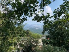-紫金山山顶公园