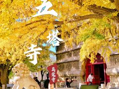 -北京石刻艺术博物馆(五塔寺)