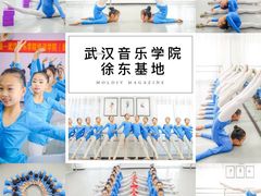 -武汉音乐学院徐东基地