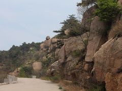 -鲁山国家森林公园