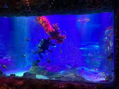 -沈阳海洋探索中心