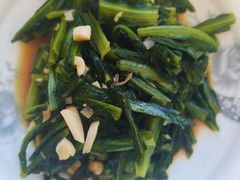 -爱月宝月嫂育儿嫂(太原店)