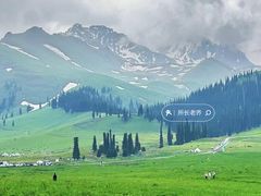 -新疆那拉提国家旅游度假区