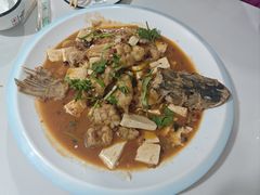 -煲来饱去冷水鱼