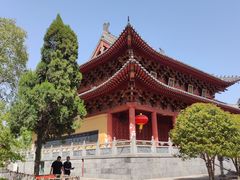 -洛阳白马寺