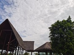 -月亮湾湿地公园