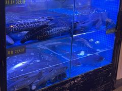 -盛源川香鱼火锅(西小区总店)