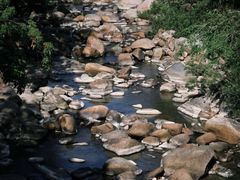 -海南热带雨林国家公园吊罗山景区