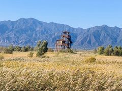 -野鸭湖国家湿地公园