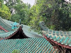 -桂湖森林公园