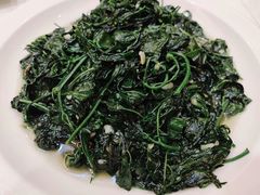 清炒辣椒叶-万山楼海鲜酒家·二十三年老字号