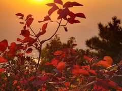 -北京十三陵国家森林公园蟒山景区