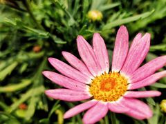 -上海鲜花港