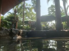 -厦门日月谷温泉渡假村