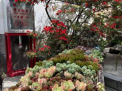 -寂照庵