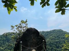 -南山植物园