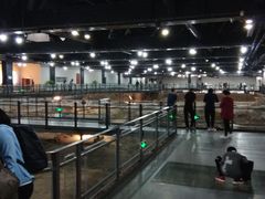 -南越王博物院(王宫展区)