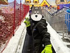 -广州热雪奇迹