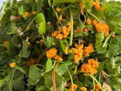 -域乐楼清真饭庄(华北路店)