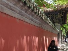 -北京国子监胡同
