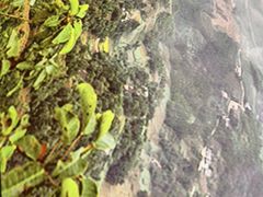 -谢云贵清香水煮鸡(总店)