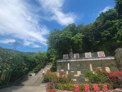 -仙岳公园