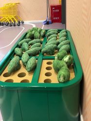 -乐多星球潮玩中心(沈阳嘉里城店)