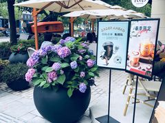 -Peet's Coffee皮爷咖啡(大学路店)