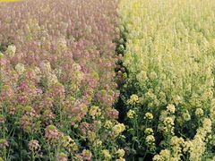 -中国天府农业博览园