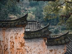 -杨家堂村