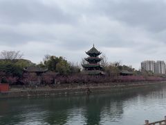 -望江楼公园