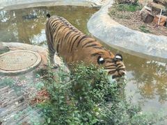 -昆明动物园