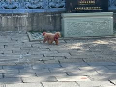 -皇城相府