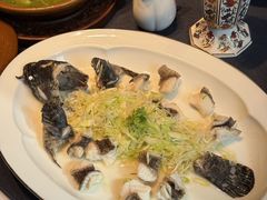 -子福慧(虹桥店)