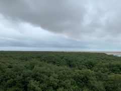 -北海金海湾红树林生态旅游区