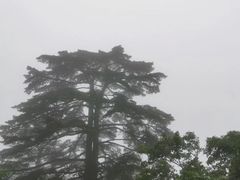 景观位-黄山风景区