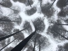 -山王坪喀斯特国家生态公园