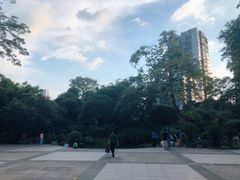-晓港公园