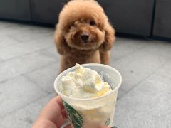 -星巴克臻选(广州二沙岛文立方店)