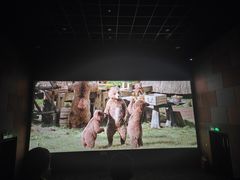 -太平洋影城(深圳8号仓店)