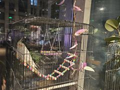 -百好乐宠物友好餐厅(朝外大街店)